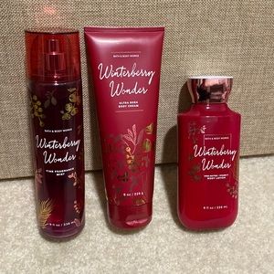 Winterberry Wonder Bath and Body set